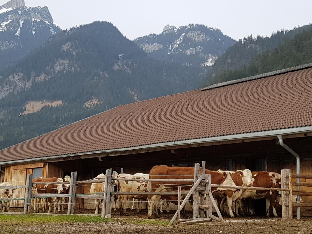 Haidacherhof Eben am Achensee Luaran gambar